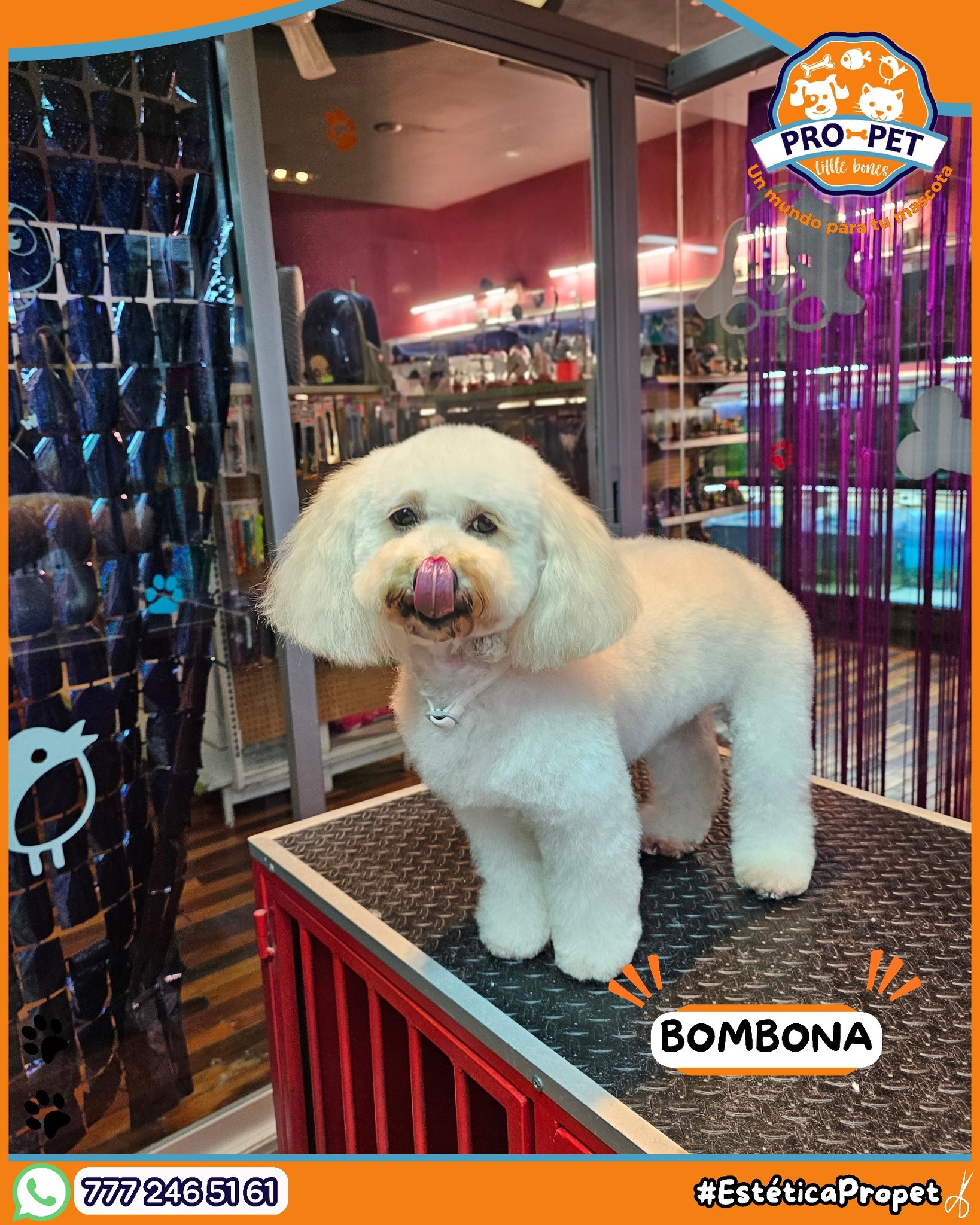Pro-Pet servicios