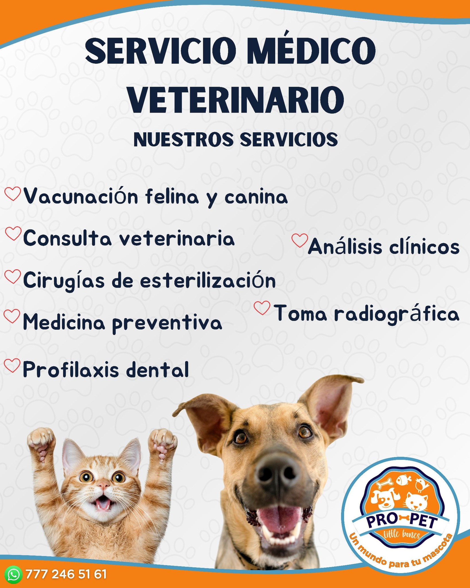 Servicio médico